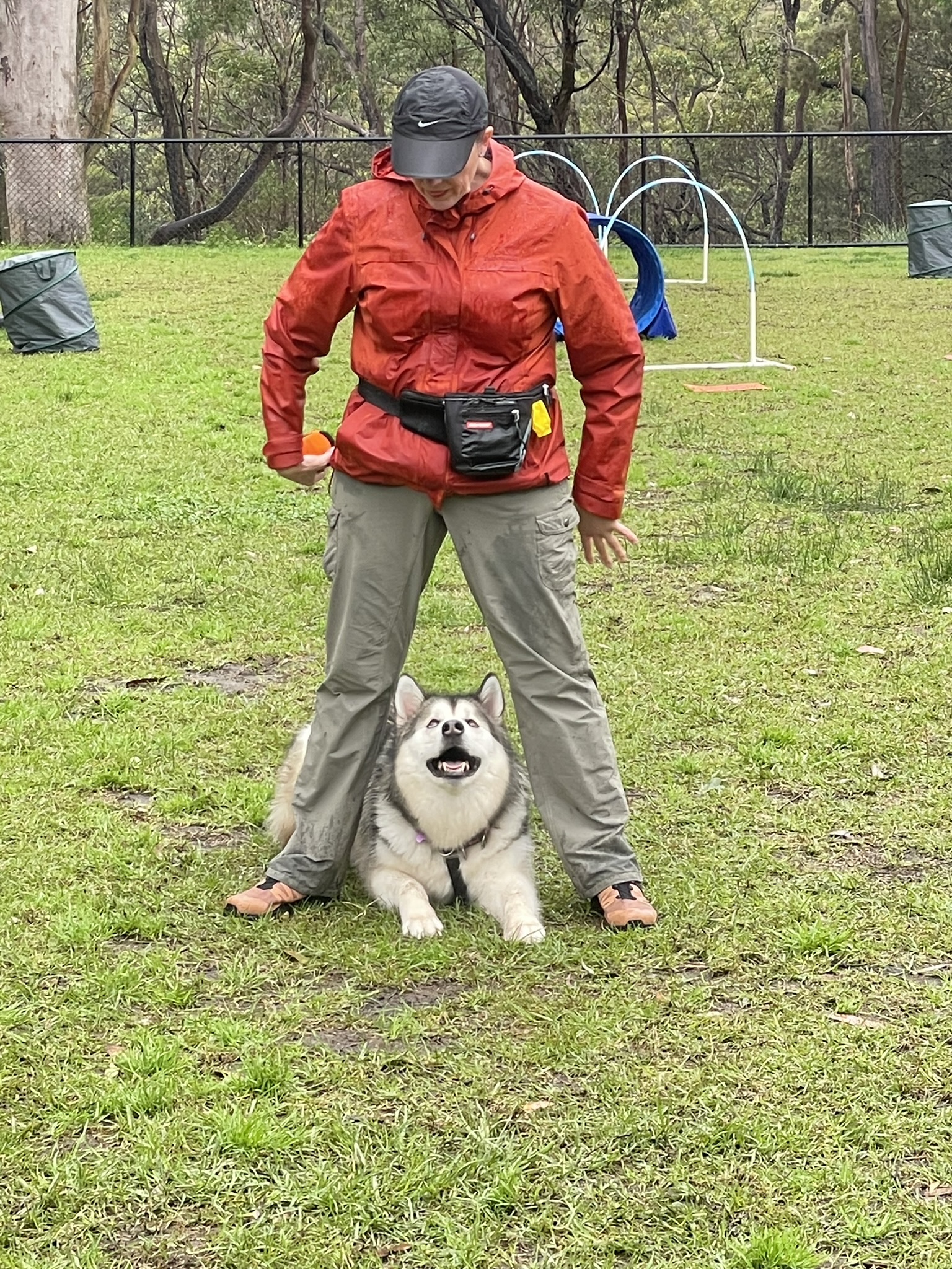 Dog with guardian on Hoopers field